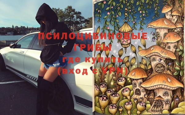 МДМА Богородицк