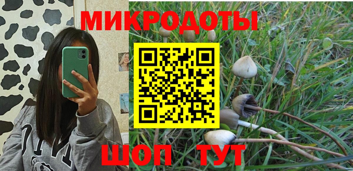 Богданович  Псилоцибиновые грибы Psilocybine cubensis  Вход с VPN 