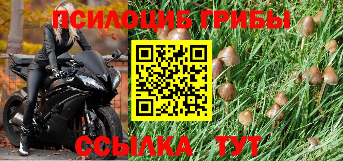 Псилоцибиновые грибы мухоморы Богданович