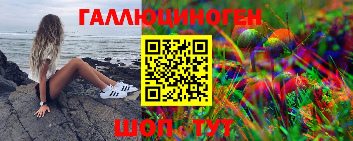 Псилоцибиновые грибы мицелий  Псилоцибиновые грибы Cubensis  Богданович 